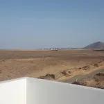 Lanzarotearena * 蒂纳霍